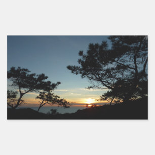 Sticker Rectangulaire Torrey Pine Sunset III Paysage californien