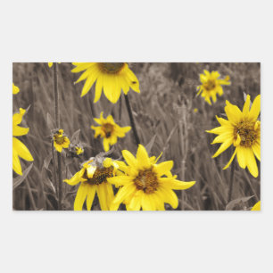 Sticker Rectangulaire Tournesol dans la Montagne Rocheuse