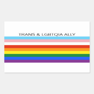 STICKER RECTANGULAIRE TRANS & LGBTQIA ALLY
