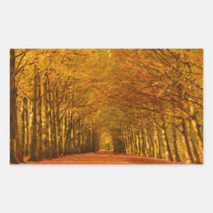 Sticker Rectangulaire Traversée de la forêt dans l'autocollant rectangul