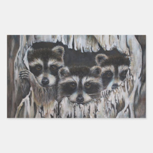 Sticker Rectangulaire Trois ratons laveurs dans un arbre