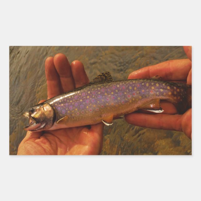 Sticker Rectangulaire Trout à Hands (Devant)