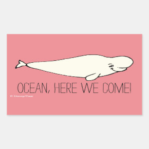 Sticker Rectangulaire Trouver Dory   Bailey Cartoon