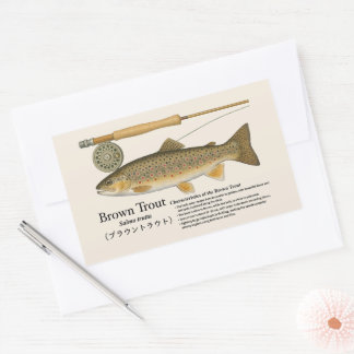 Sticker Rectangulaire Truite brune (Salmo trutta) – Illust anglais