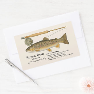 Sticker Rectangulaire Truite brune (Salmo trutta) – Illust japonaise