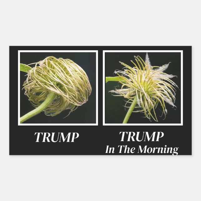 Sticker Rectangulaire Trump Hair (Devant)