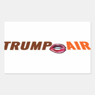 Sticker Rectangulaire Trump - Un dessin humoristique clair