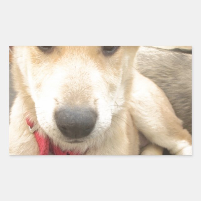 Sticker Rectangulaire Tu Devrais WIFI Ton Amour Tous Les Jours (Devant)