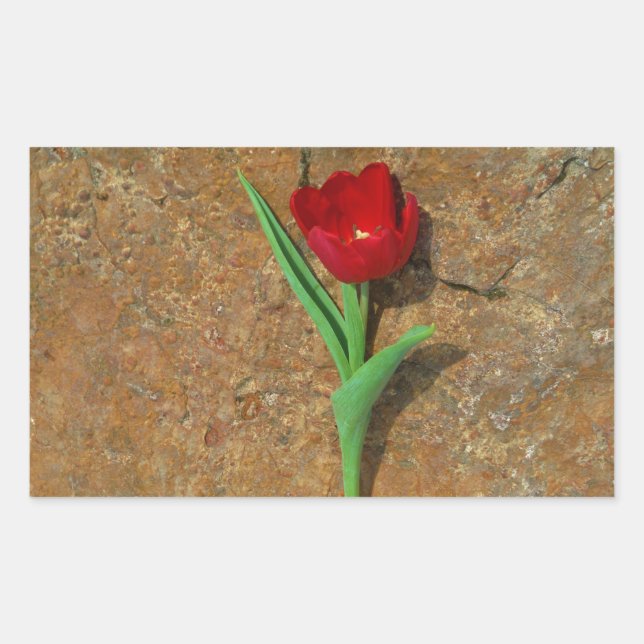 Sticker Rectangulaire Tulipe rouge et jaune (Devant)
