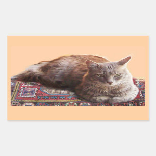 STICKER RECTANGULAIRE TURKISH CAT ON THE OLD CARPET