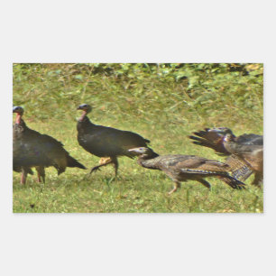 Sticker Rectangulaire Turquie sauvage, couleurs du Camouflage