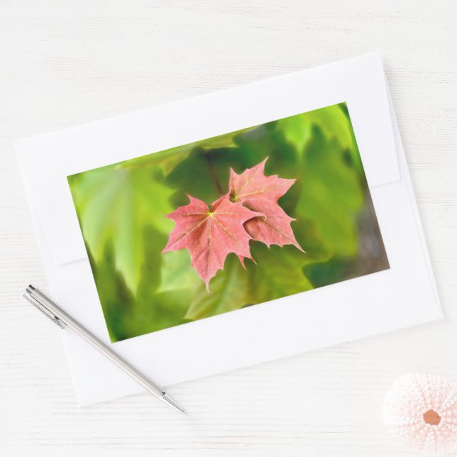 Sticker Rectangulaire Two maple leaves (Enveloppe)