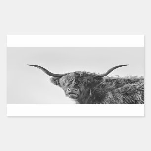 Sticker Rectangulaire Vache des hautes terres robuste en monochrome