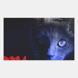 Sticker Rectangulaire vendredi 13