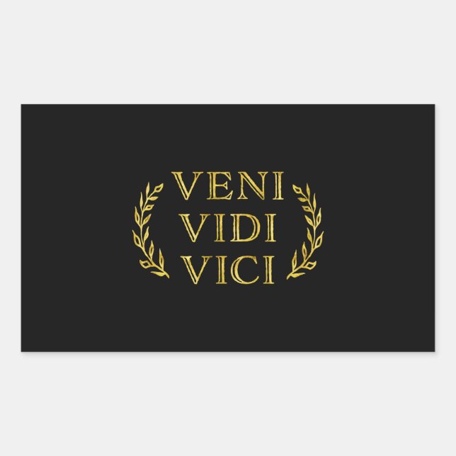 Sticker Rectangulaire Veni Vidi Vici Gagnant du jeu amusant (Devant)