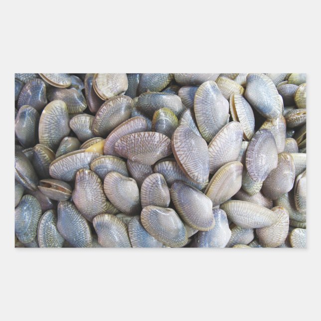 Sticker Rectangulaire Venus Clam [ห อ ย ล า ย] (Devant)