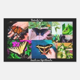 Sticker Rectangulaire Vie de papillon