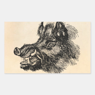 Sticker Rectangulaire Vintage Vicious Wild Boar w Tusks