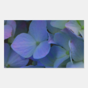 Sticker Rectangulaire Violet violet rose bleu hydrangée fleurie