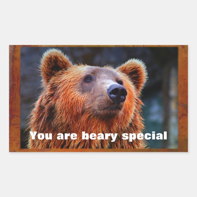 Sticker Rectangulaire Vous Êtes Beary Spécial Ours Brown Faune Portrait (Devant)