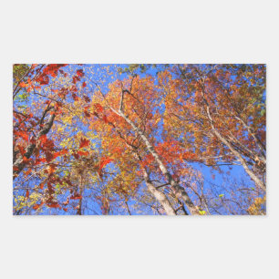 Sticker Rectangulaire West Mt. Autumn Hot Springs National Park Cadfts