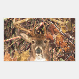 Sticker Rectangulaire White Tail Deer Head Fall Energy Spiré sur un