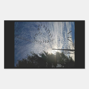 STICKER RECTANGULAIRE ZEN