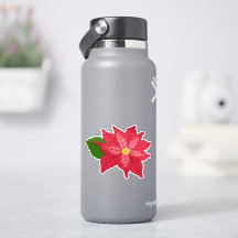 Red and Pink Christmas Poinsettia