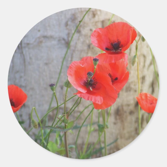 Sticker Red Field Corn Poppies (Devant)