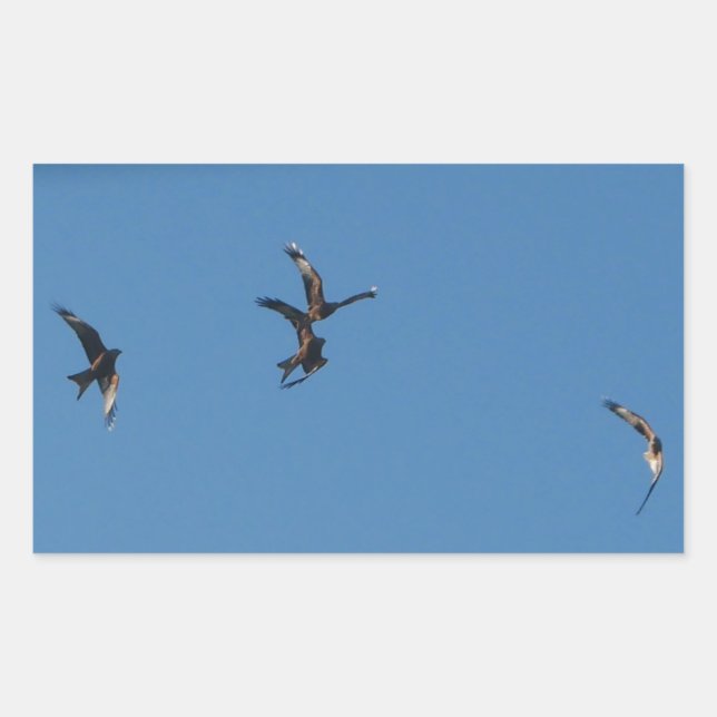 Sticker Red Kites (Devant)
