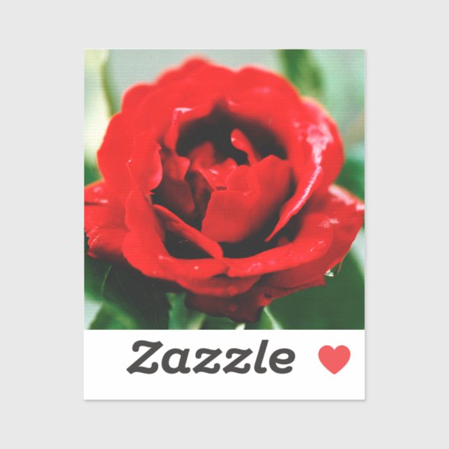 Sticker Red Rose Love (Feuille)