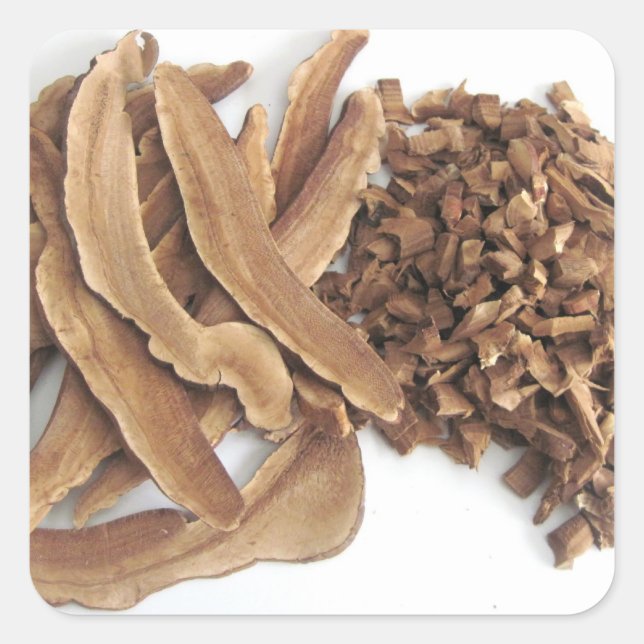 Sticker Reishi Mushroom (Devant)