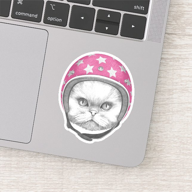 Sticker Rider en moto chats perse (Détail)