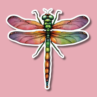 Sticker Robe Colorée étanche