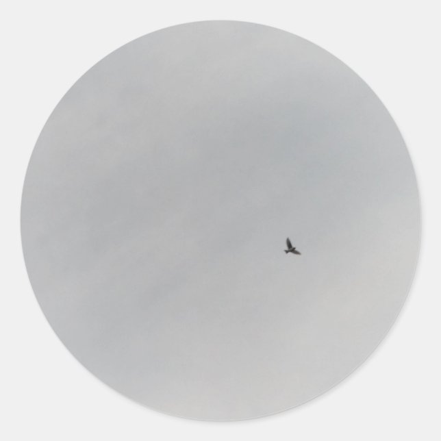 STICKER ROLL  (Front)