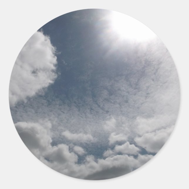 STICKER ROLL  (Front)