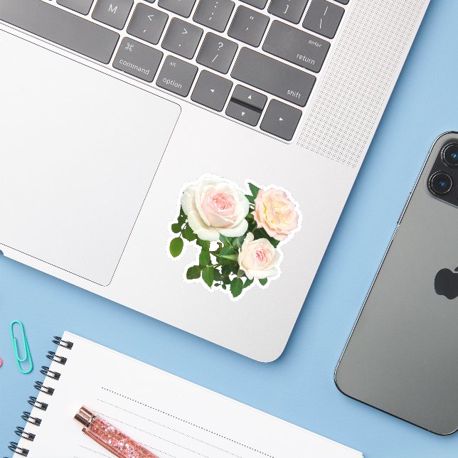 Sticker Romantique rose roses rose rose rose floral rose b (Ordinateur portable avec iPhone)