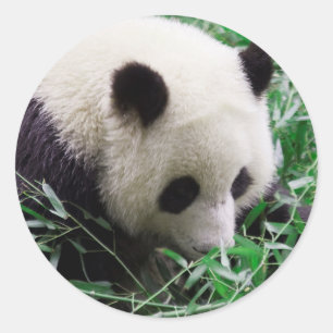 STICKER ROND