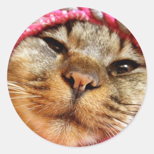 STICKER ROND ピンク帽子のチャド (Devant)