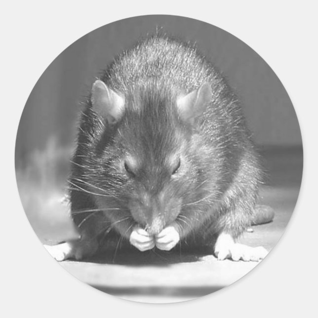 STICKER ROND 2 (Devant)