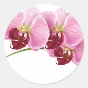 Sticker Rond 20 Mariage d'enveloppe violet orchidée