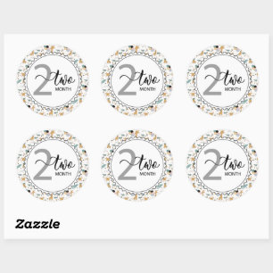 Sticker Rond 2 Mois Jalon bébé Giraffes et ballons