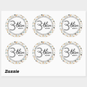 Sticker Rond 3 Mois Jalon bébé Giraffes et ballons