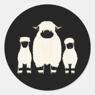 Sticker Rond 3 Moutons Noirs Valais dans une rangée