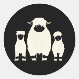 Sticker Rond 3 Moutons Noirs Valais dans une rangée