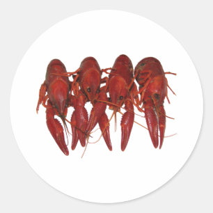Sticker Rond 4 Crawfish cuits