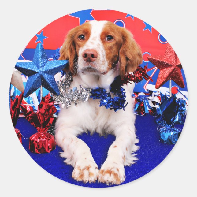 Sticker Rond 4 juillet - Brittany Spaniel - Charlie (Devant)