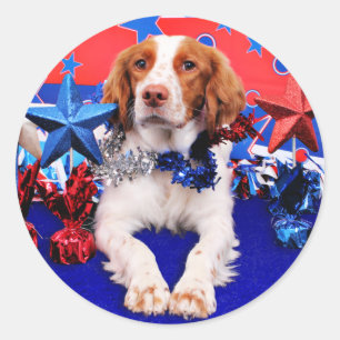 Sticker Rond 4 juillet - épagneul de Bretagne - Charlie