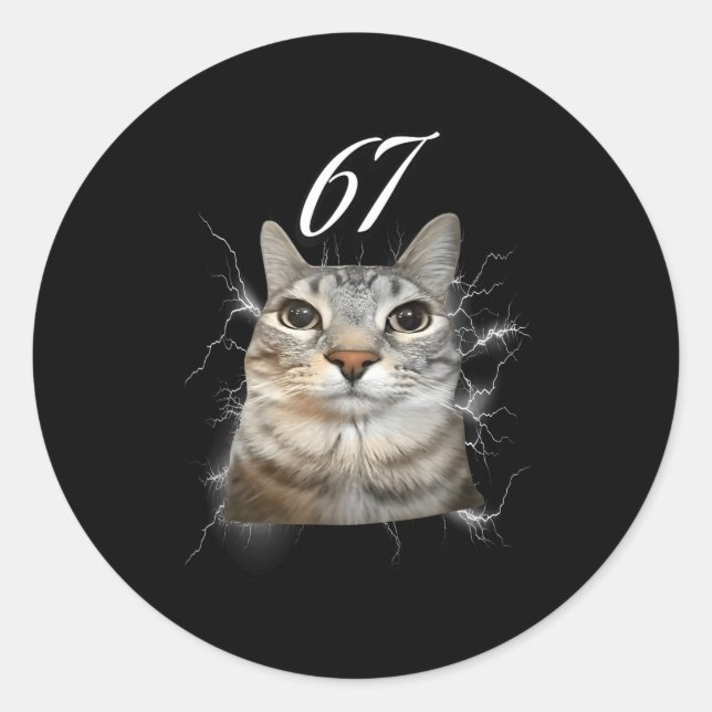 Sticker Rond 67 Meme Cat Howling At Moon Brainrot Funny 6 7  (Devant)
