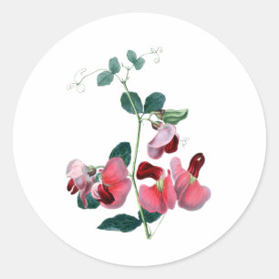 Sticker rond à pois doux classique